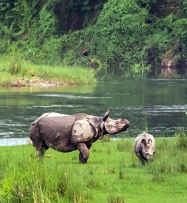 Best Time to Visit Chitwan National Park