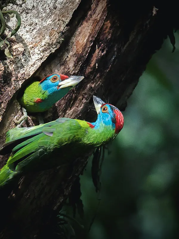 National Parks and Wildlife Reserves