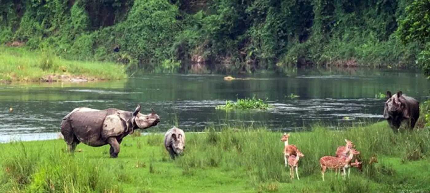 Best Time to Visit Chitwan National Park