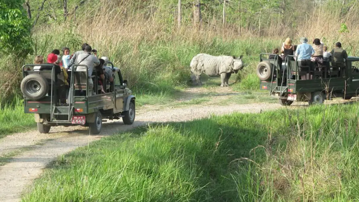 Jeep Safari in Chitwan