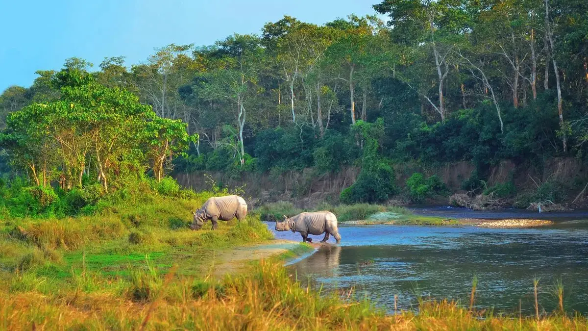 Royal Chitwan National Park