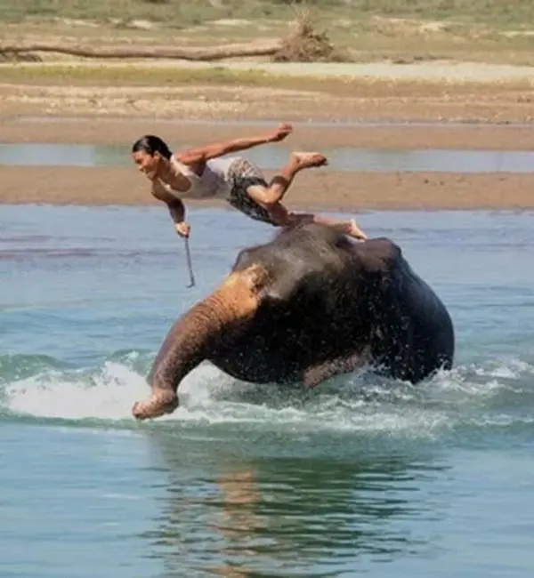 Elephant ride